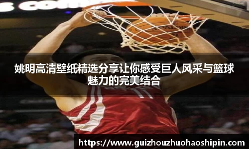 姚明高清壁纸精选分享让你感受巨人风采与篮球魅力的完美结合