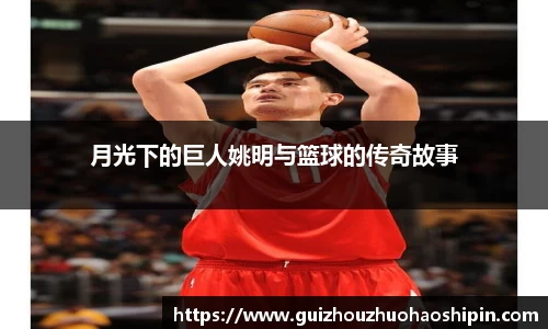 月光下的巨人姚明与篮球的传奇故事