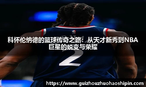 九游体育登录入口