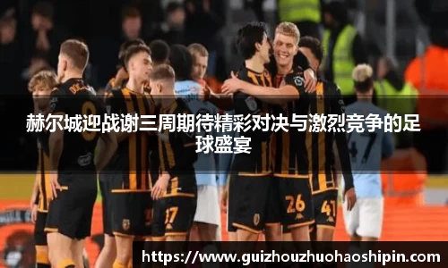 beats365赫尔城迎战谢三周期待精彩对决与激烈竞争的足球盛宴